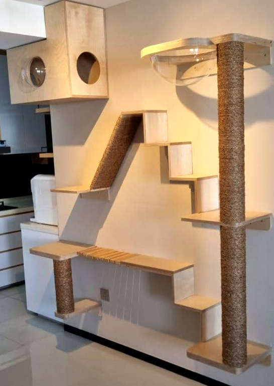 A compact cat gym built by Little People Woodworks